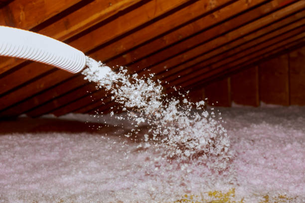 Best Insulation Maintenance and Repair in Evart, MI